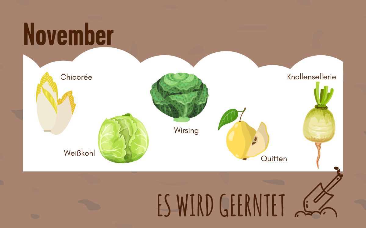 Obst und Gemüse, welches im November Saison hat