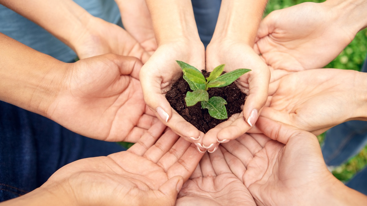Neun H&auml;nde halten zusammen ein kleine Menge Blumenerde mit einer Pflanze 