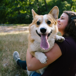 Frau und Hund spielen im Freien