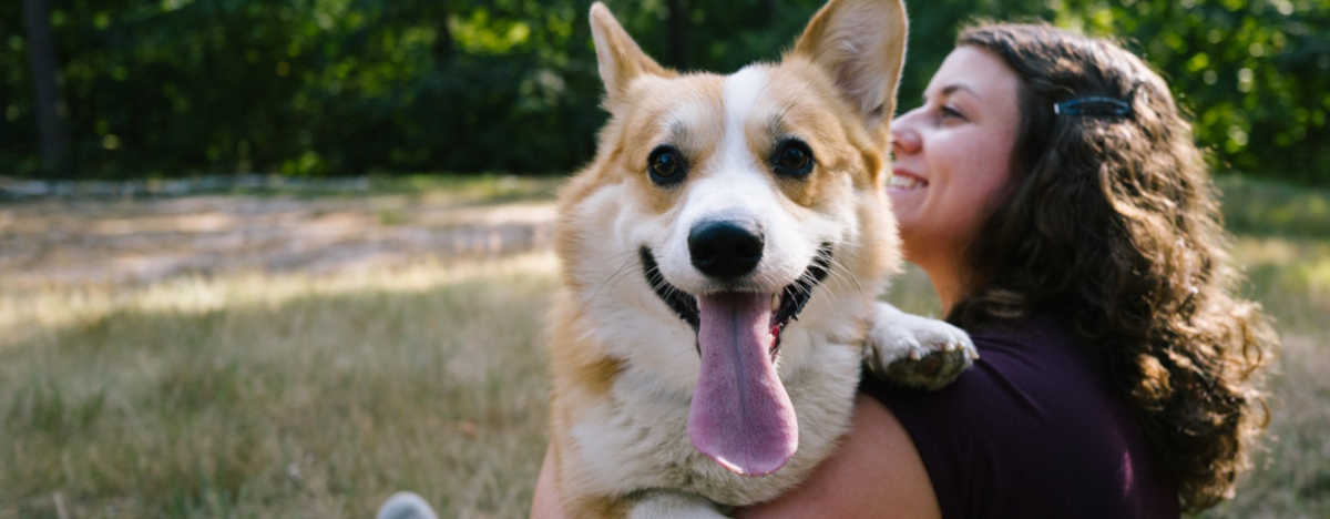 Frau und Hund spielen im Freien