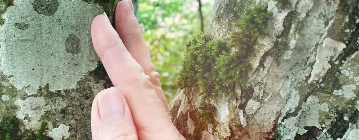 Frau ber&uuml;hrt Baum