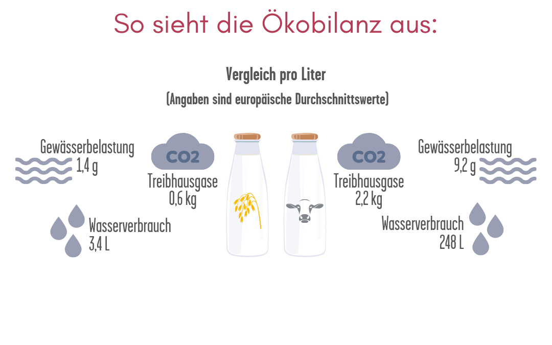 Vergleich der &Ouml;kobilanz von Haferdrinks und Kuhmilch