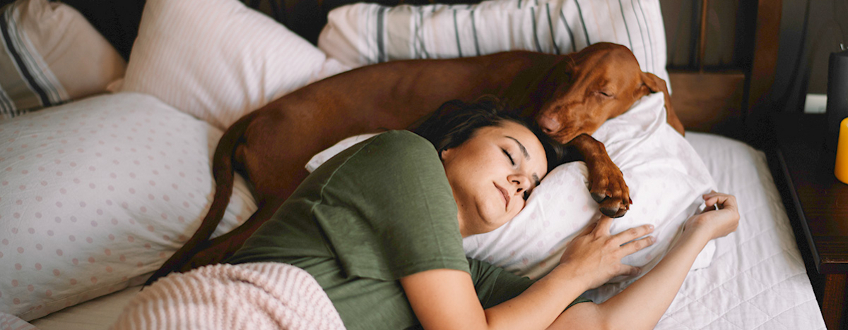 Frau schl&auml;ft im Bett, ihr Hund liegt neben ihr.