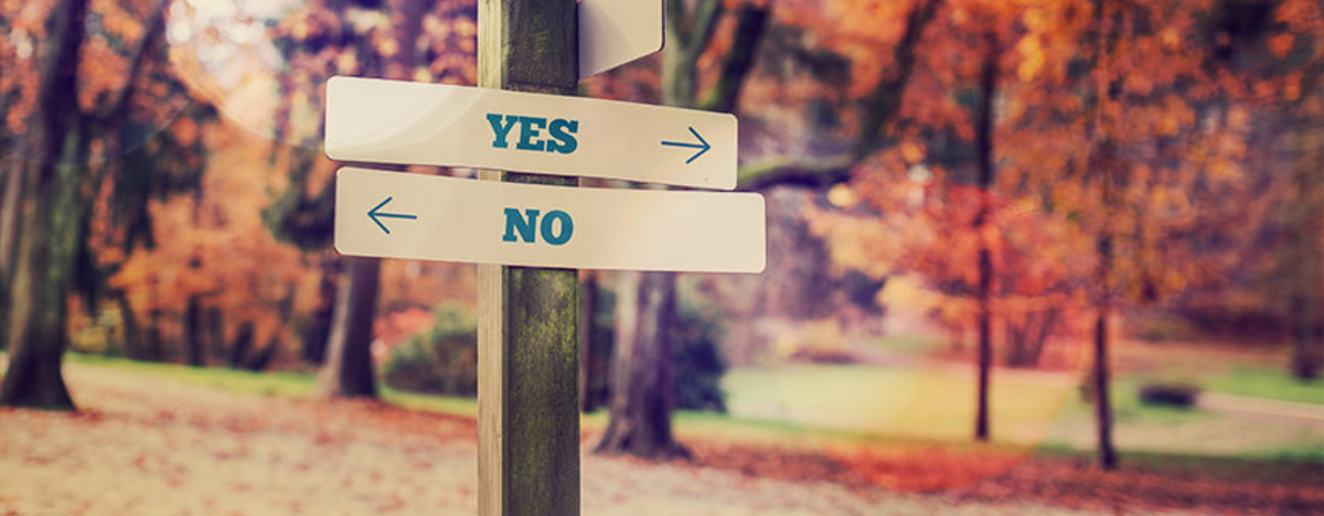 BKK VBU Wahltarif: Wegweiser mit den Optionen Yes und No