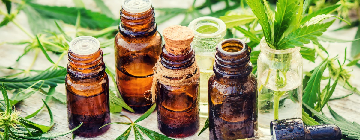Cannabis-Bl&auml;tter und &Ouml;le in der Nahaufnahme