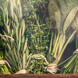 verschiedene Kr&auml;uter zusammengebunden