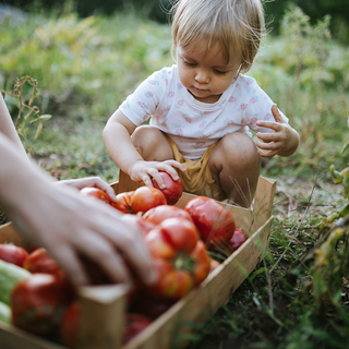 Ein kleines Kind sitzt vor einer Gem&uuml;sekiste