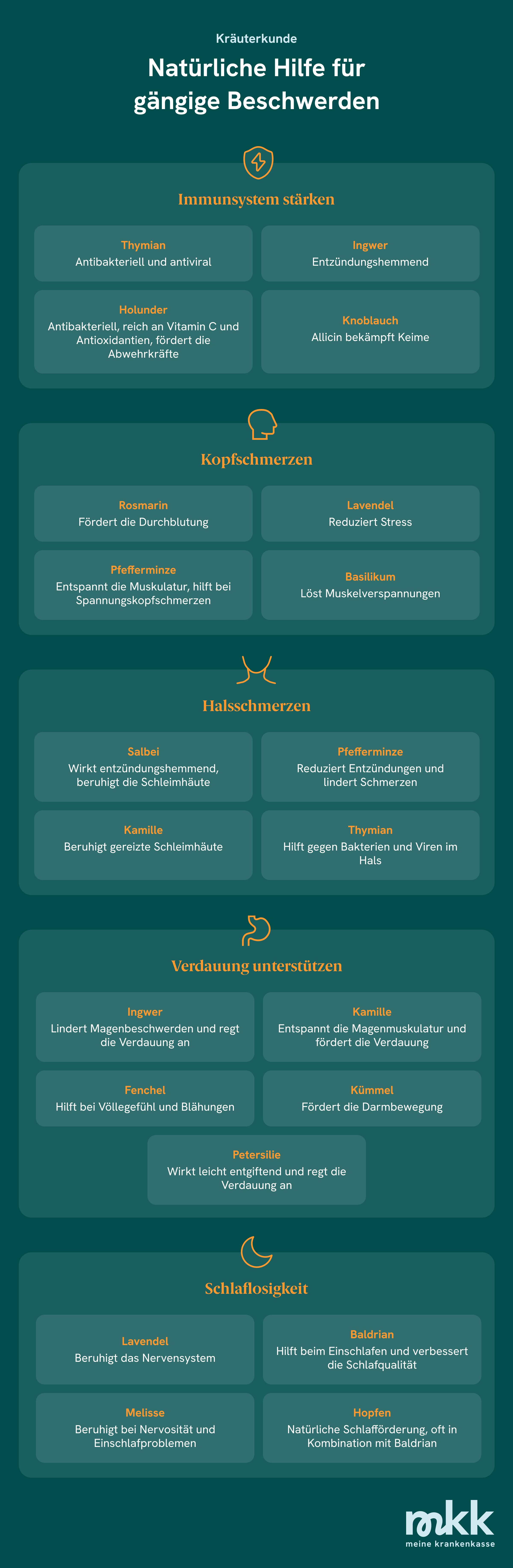 Kr&auml;uter und ihre Wirkung gegen g&auml;ngige Beschwerden