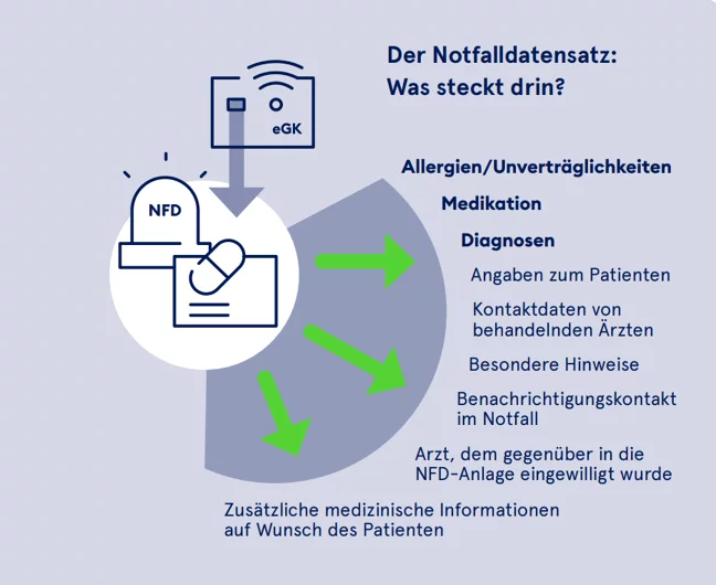 Grafik der Bestandteile eines Notfalldatensatzes: Allergien, Unvertr&auml;glichkeiten, Medikatione, Diagnosen, Kontaktdaten 