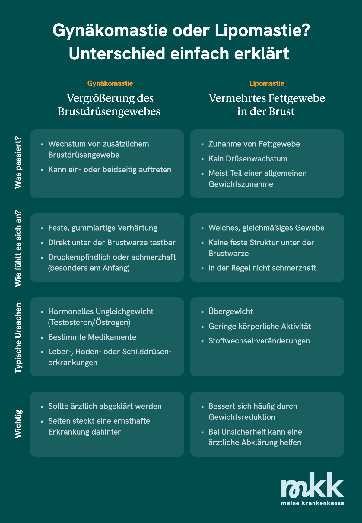 Die Unterschiede zwischen Gyn&auml;komastie und Lipomastie einfach erkl&auml;rt