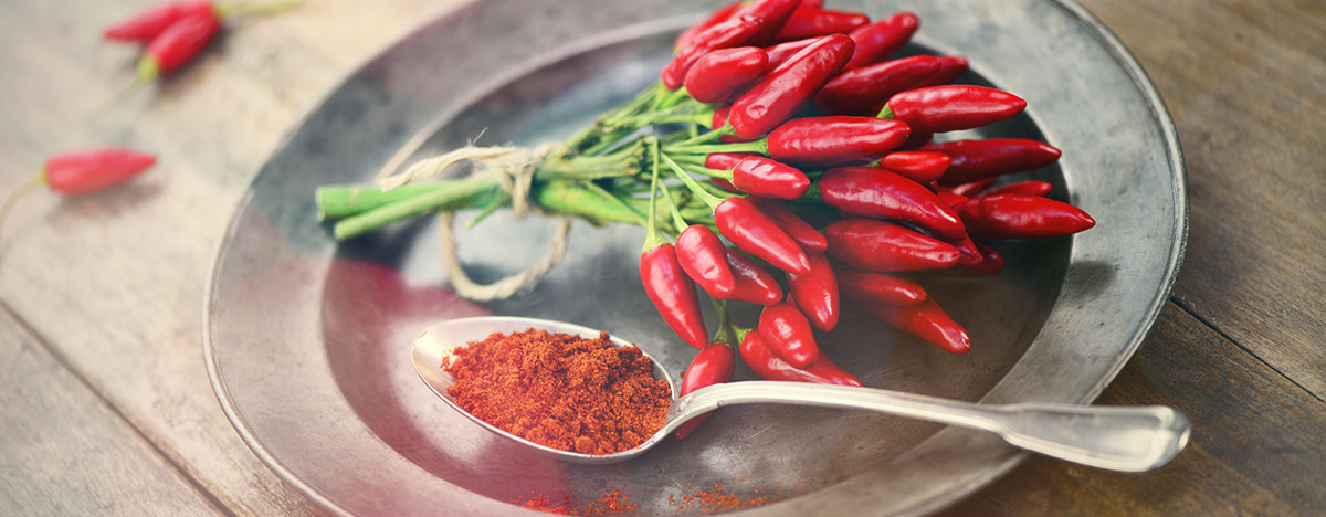 Chili Schoten und Chili Pulver auf einem L&ouml;ffel
