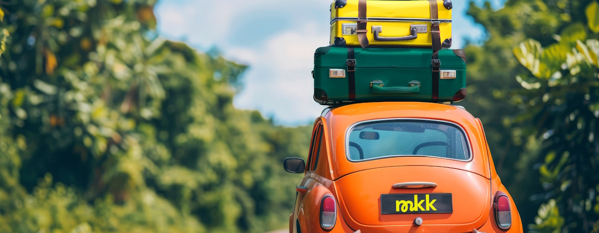 Roter VW-K&auml;fer mit Gep&auml;ck auf dem Dach