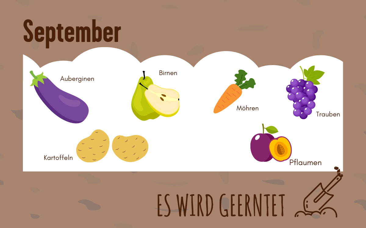 Grafik von verschiedenen saisonalen Obst- und Gem&uuml;sesorten