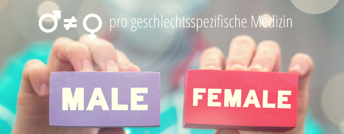 zwei H&auml;nde, die Schilder mit der Aufschrift weiblich und m&auml;nnlich zeigen