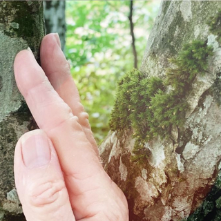 Frau ber&uuml;hrt Baum