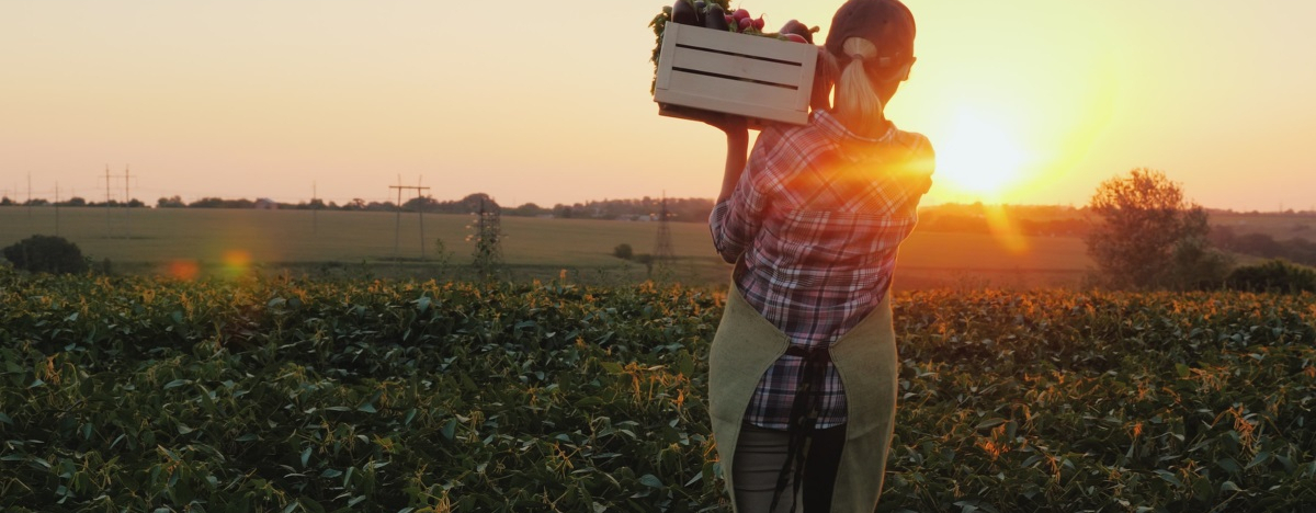 Farmerin tr&auml;gt Kiste mit frisch geerntetem Gem&uuml;se auf der Schulter