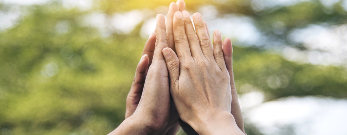 F&uuml;nf H&auml;nde geben sich high-five