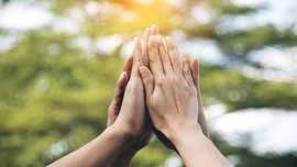 F&uuml;nf H&auml;nde geben sich high-five