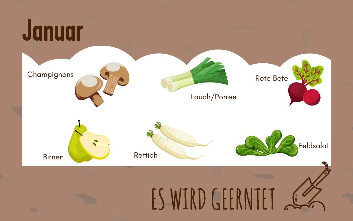 Grafiken von diversem Obst und Gem&uuml;se, das im Januar Saison hat.